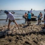 Volunteers cleaning beach coastal debris