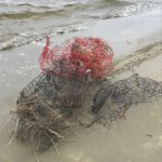 Wounded Nature – Working Veterans coastal cleanup photo – restoring island beaches to their original pristine beauty. Volunteer boats and donations make this happen. The result is increased populations of sea turtles, dolphins, manatees, fish, shrimp and shellfish.