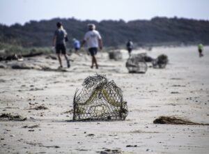 Orphaned Crab Traps 2,818 Removed